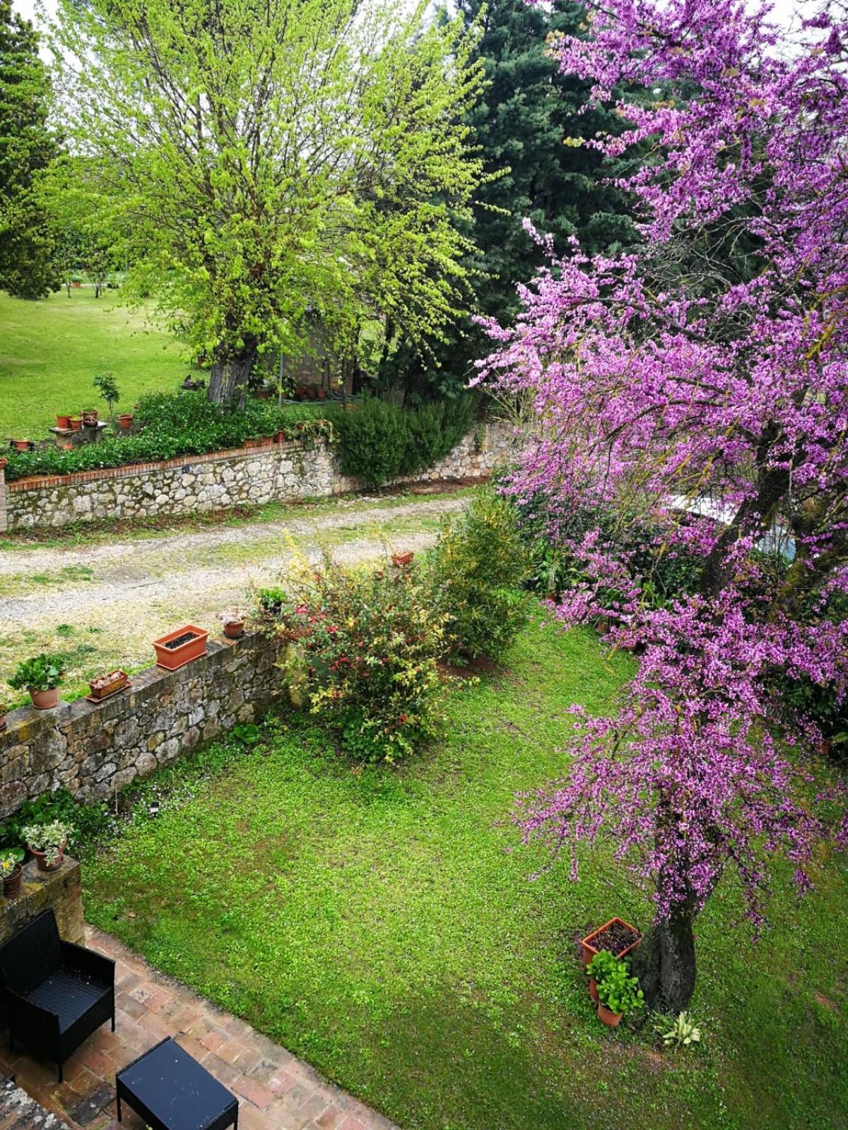 Claudia Vacanza Toscana - Appartamento Nocciolo- 10 Min Da Siena Malignano Bagian luar foto
